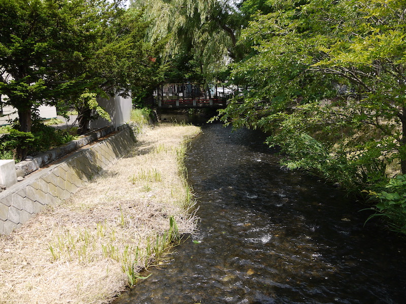 水天宮橋(札幌市中央区) 鴨々川下流方面(橋上から撮影)