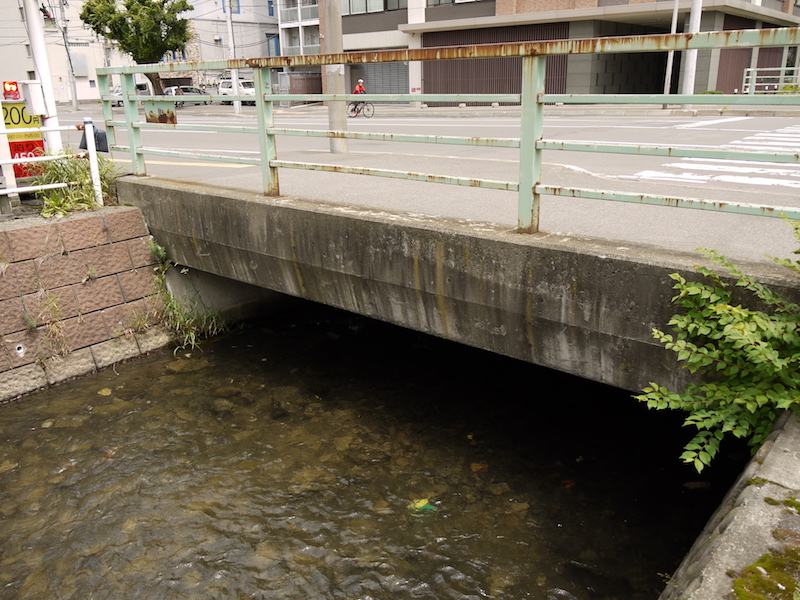 豊水橋(札幌市中央区) 起点左側から撮影した豊水橋