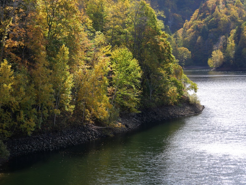 さっぽろ湖(北海道札幌市) さっぽろ湖周辺の紅葉