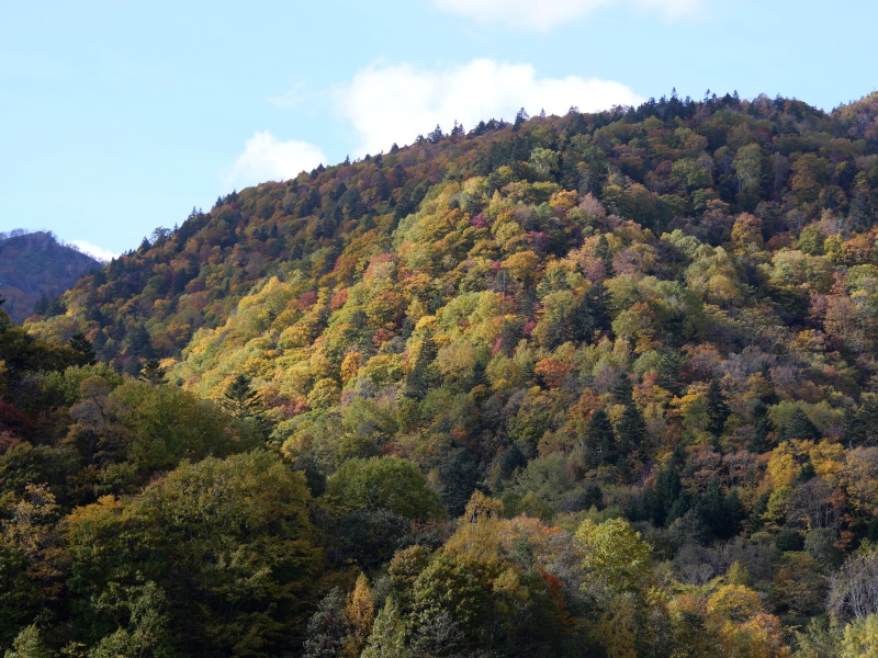 さっぽろ湖(北海道札幌市) さっぽろ湖周辺の紅葉