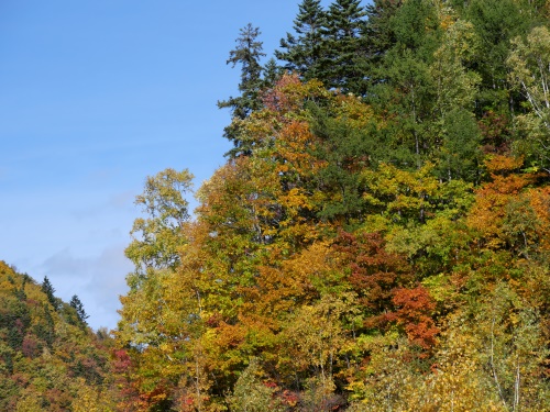 さっぽろ湖(北海道札幌市) さっぽろ湖周辺の紅葉