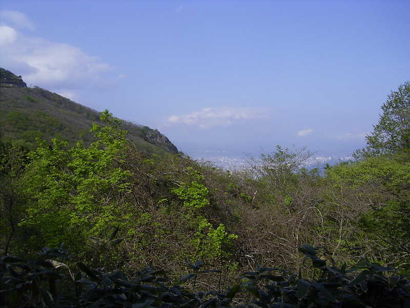 函館山 登山道から撮影