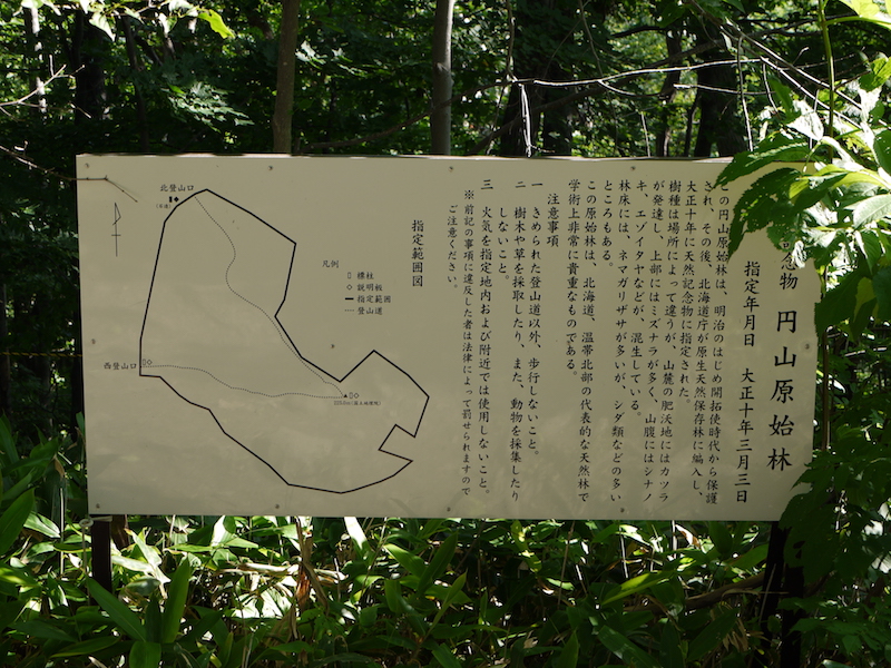 円山 「天然記念物 円山原始林」の看板 北海道札幌市中央区