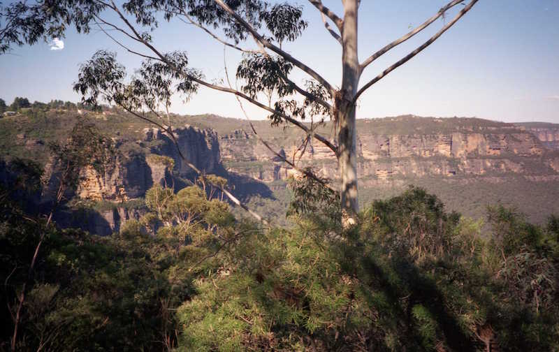 Blue Mountains National Park - New South Wales, Australia
