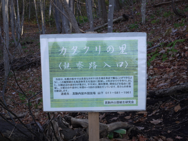 北海道立真駒内公園 カタクリの里付近 北海道札幌市