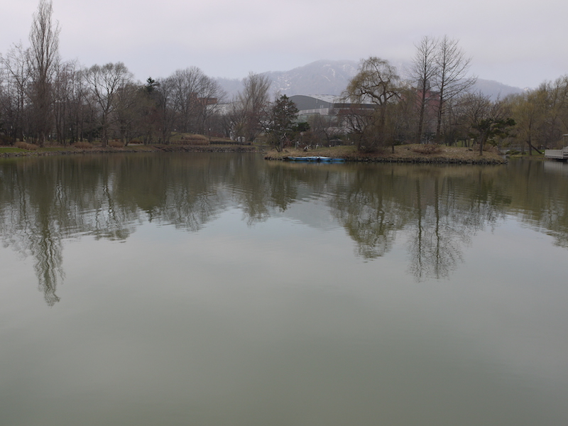 中島公園 菖蒲池周辺 北海道札幌市