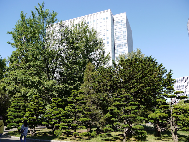 赤れんが庁舎(北海道庁旧本庁舎) 前庭外観