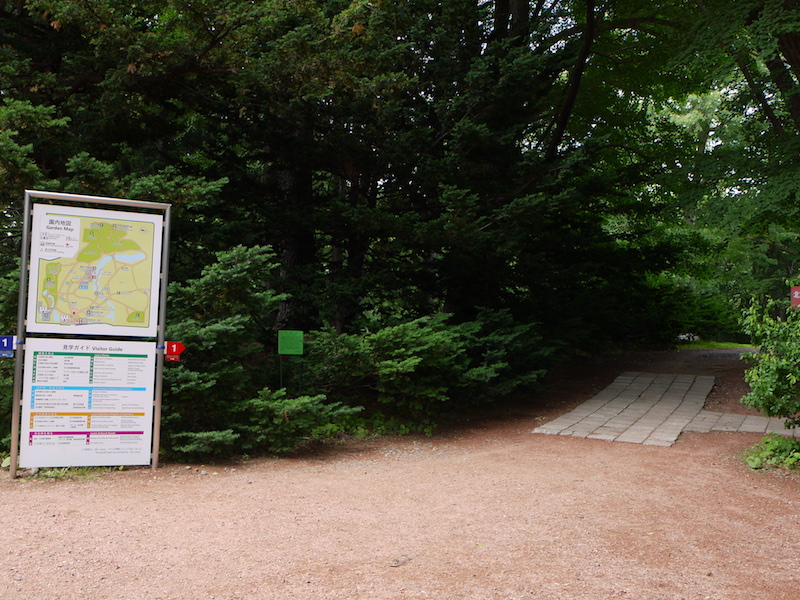 北海道大学植物園 正門周辺 正門前コース分岐点(内回りルートは右奥方向)