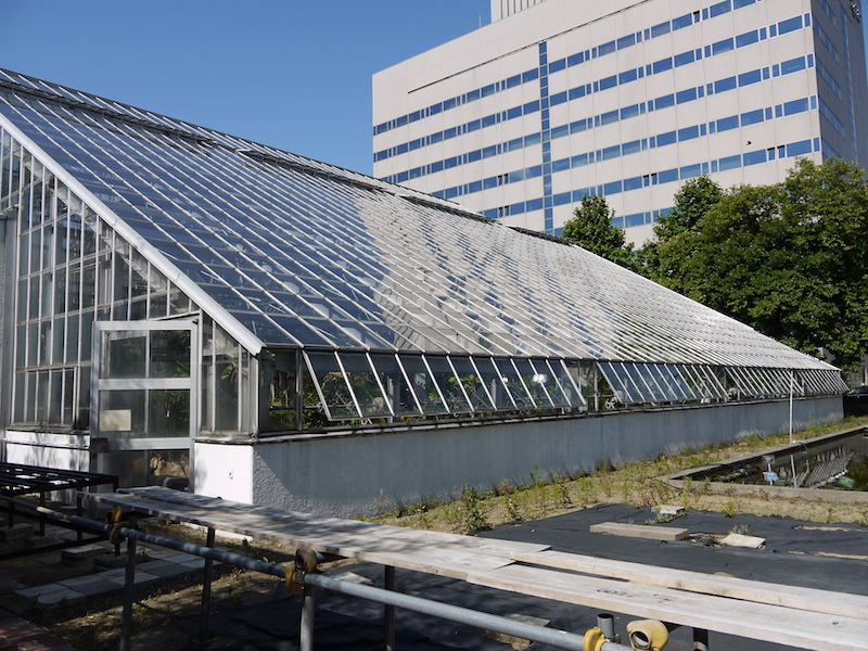 北海道大学植物園 外回りルート 温室外観