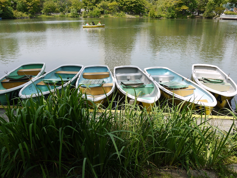 中島公園 ボート乗り場周辺