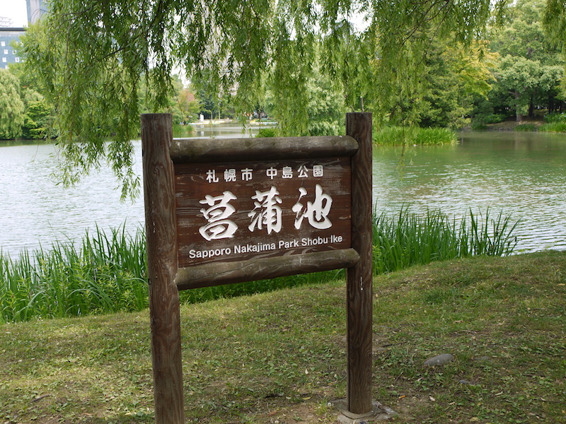 中島公園 菖蒲池