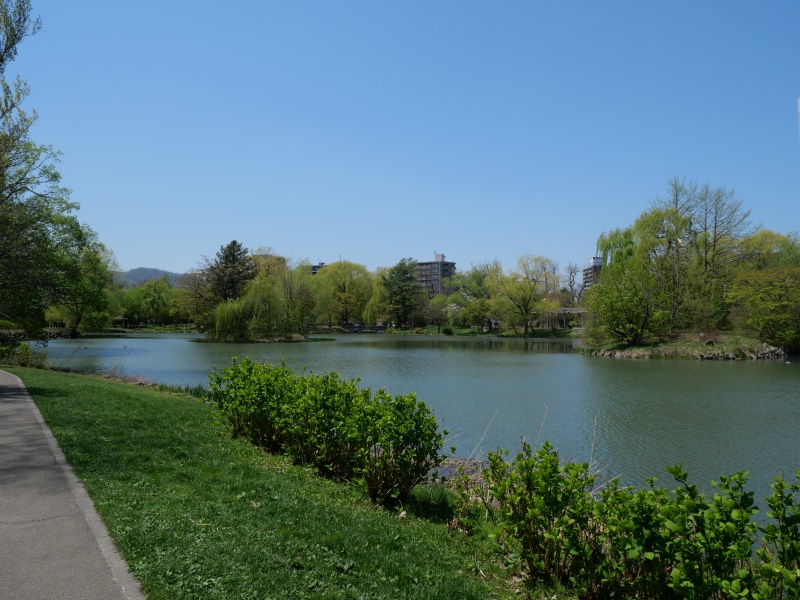 中島公園 菖蒲池周辺