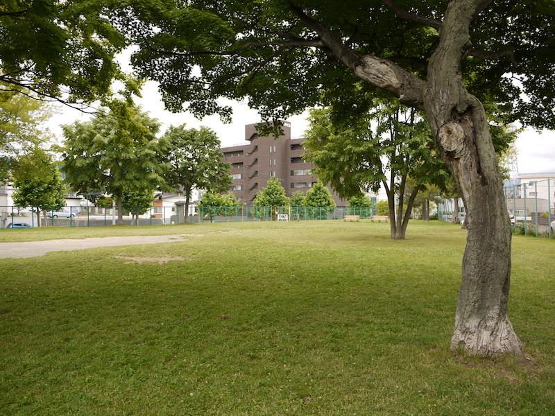 平岸みはらし公園(札幌市) 公園西側(2)