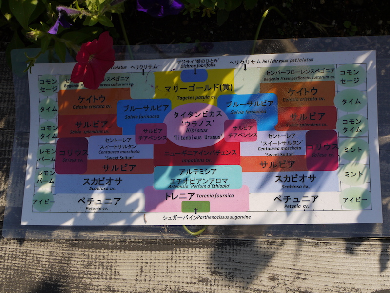豊平公園(札幌市) 花壇(緑のセンター横) 配置図