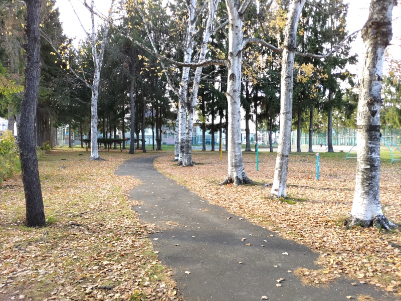平園公園(札幌市) 公園概観