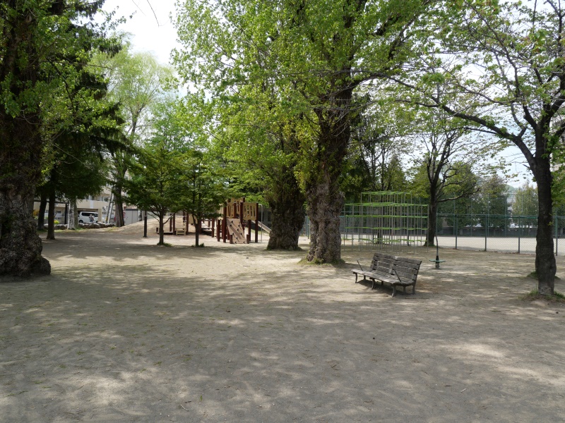 南11条おおたに公園(札幌市) 公園概観