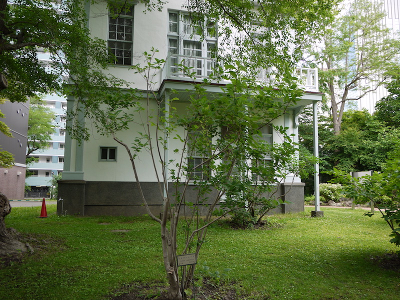 ワタゲハシドイ(Syringa tomentella)