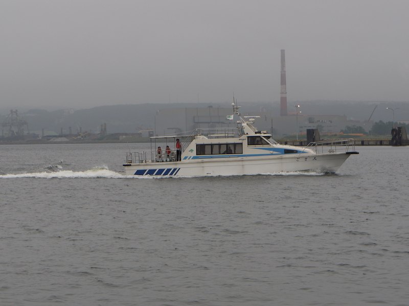 みさご 室蘭港 2019/08/19