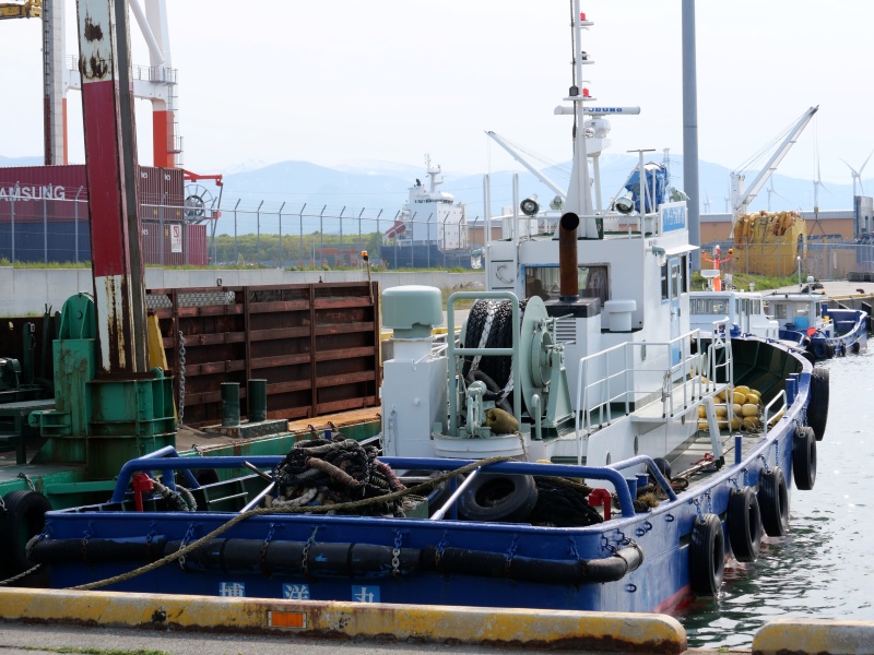 博洋丸 石狩湾新港 2023/05/13